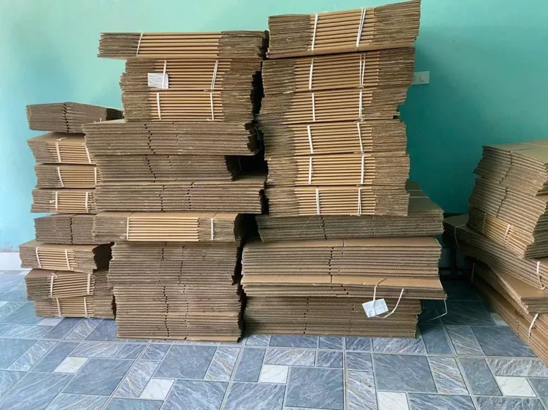Thu mua giấy carton